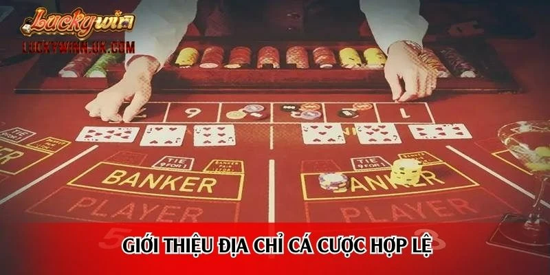 Giới thiệu địa chỉ cá cược hợp lệ