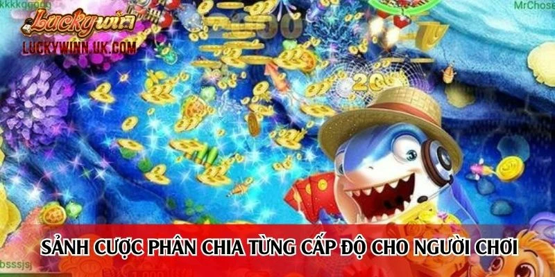 Sảnh cược phân chia từng cấp độ cho người chơi