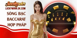 Sòng Bạc Baccarat Hợp Pháp - 4 Điểm Đến Đáng Tin Cậy 2026